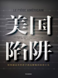 美国陷阱:如何通过非经济手段瓦解他国商业巨头