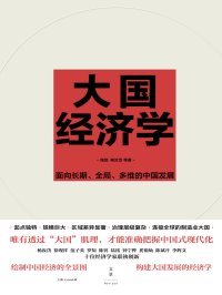 大国经济学:面向长期、全局、多维的中国发展