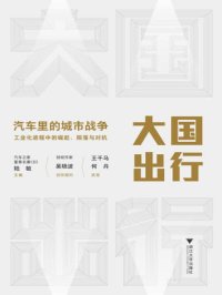 大国出行:汽车里的城市战争