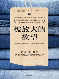 被放大的欲望
